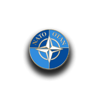pin nato North Atlantic Treaty Organization